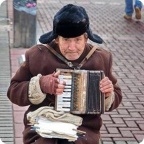 Построены теплицы для Чудо-огорода