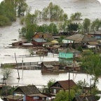 Оплачена покупка билета для Константина Сарваниди