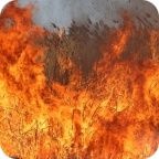 Первая помощь в борьбе с пожарами