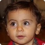 Сердце Илоны 