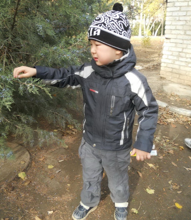 Эмир Курмушев