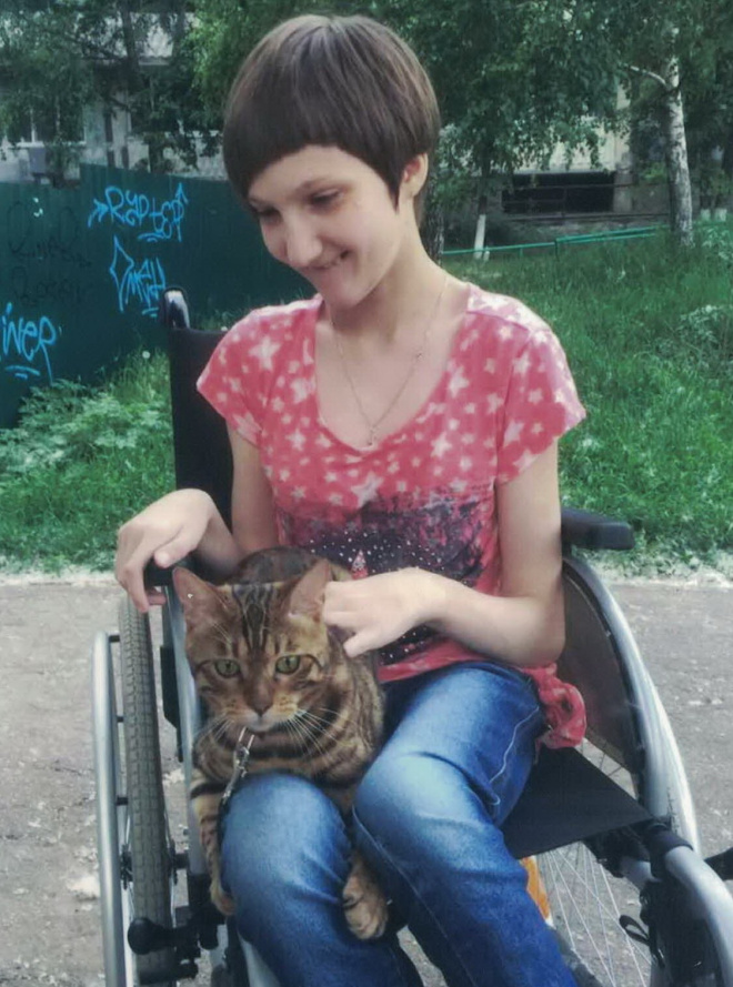 Семья Дворцовых