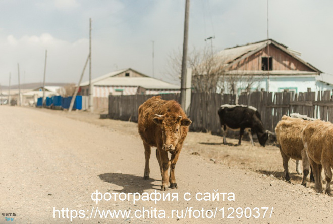 Горящее Забайкалье-2019