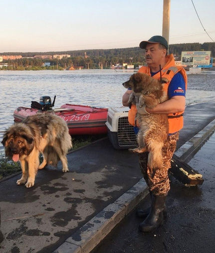 Наводнение в Иркутской области