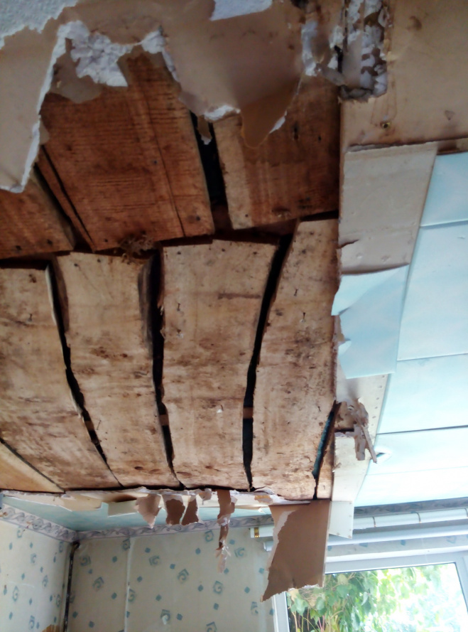 семья Лопатиных