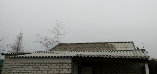 семья Лопатиных