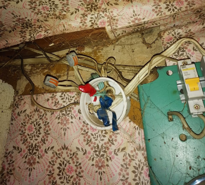 Семья Гезиковых