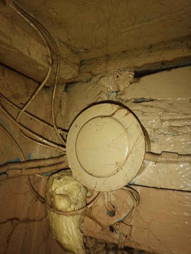 Семья Гезиковых