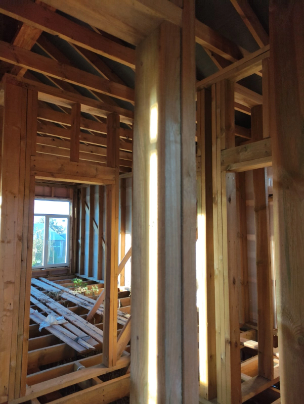 Семья Кузиных