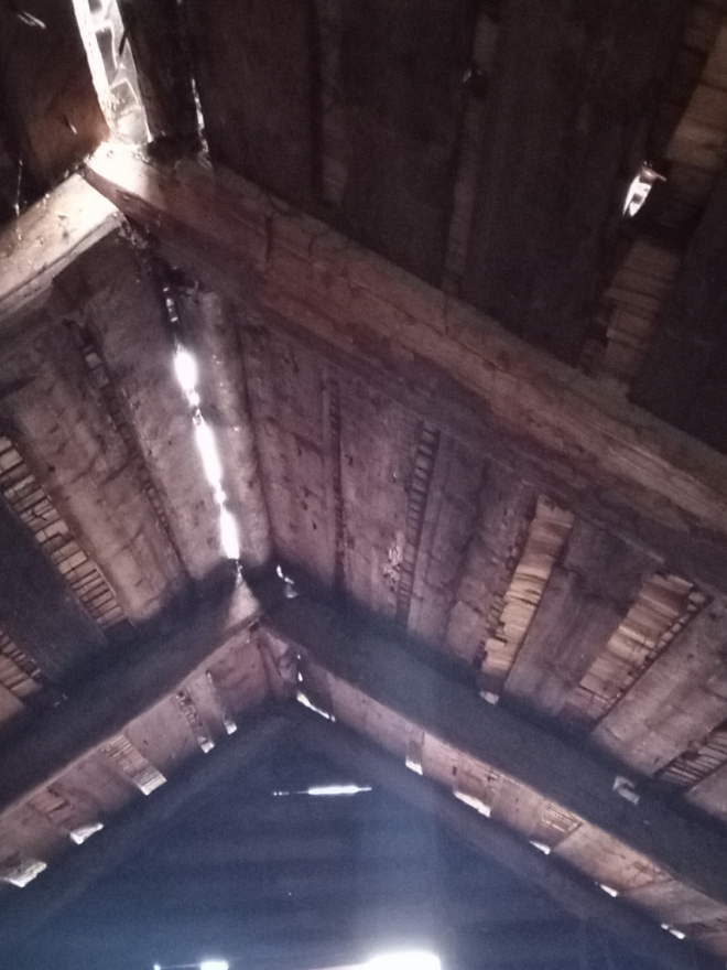 Семья Коношевых