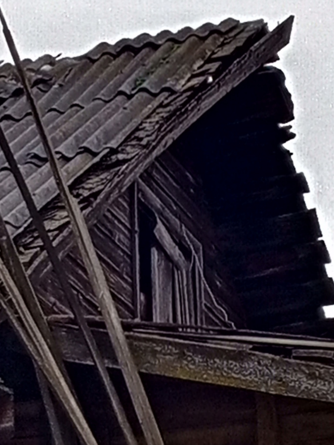 Семья Коношевых