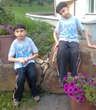 Артем и Давид Бойко